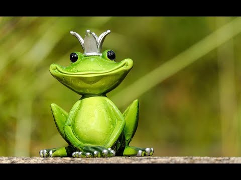 You are currently viewing STORY OF TINY FROG